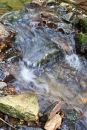 IMG_0013_edited-1.jpg