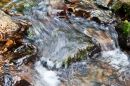 IMG_0014_edited-1.jpg