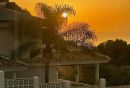 IMG_2025-10-12-142258.jpeg