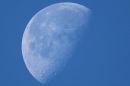 IMG_3537a.jpg