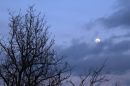 IMG_5291b.jpg