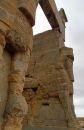 IMG_5525a.jpg