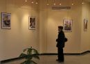 IMG_5536a.jpg