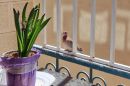 IMG_5617b.jpg