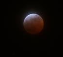IMG_7623_1.jpg