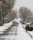 IMG_7848k.jpg