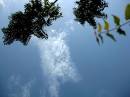 IS_SKY_THE_LIMIT.JPG