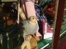 In_a_shop_window_at_Grassington_2.JPG