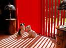 Light_And_Shadow_-_9288.JPG