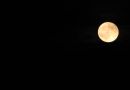 MOON_11.jpg
