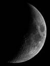 Moon_11-12-10.jpg