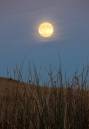 Moon_at_Whitelee_23-10-10.jpg