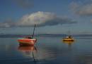 Morecame_Bay_s_edited-1.jpg