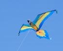 Parrot_Kite_web_1000_ARC_1842.jpg