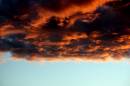 Picture_1083.jpg