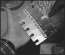 Picture_169_c_PROGRAM_EV_0_ISO_400_AUTO_NARROWEST_METER_and_FOCUS_CROPPED_46_5_X_40_cm_B.jpg