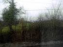 Rain4.jpg