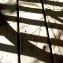 Shadows_in_the_Bikeshed.jpg