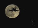SuperMoonOfNov2016.jpg
