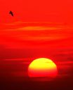 The-Sun.jpg