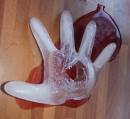 The_Bleeding_Hand.jpg