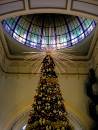 Tree_of_Light_QVB_22-11-04.JPG