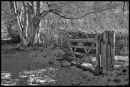 WIL2609Winter_Gate_Infrared_1024x768_.jpg