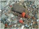 Wave_tumbled_brick.JPG