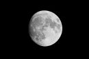 XT1A4032TM.jpg