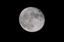XT1A4062M.jpg