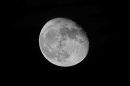 XT1A4067M.jpg