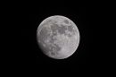 XT1A4756M.jpg