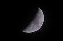 XT204642M.JPG
