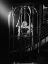 canary_cage_2.JPG