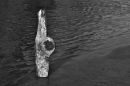 driftwood_2.jpg