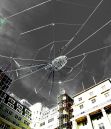 exchange-spider-2.jpg