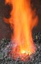 fire_Medium_.jpg