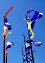 flags_800x600_.jpg