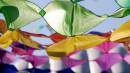 kite_800x600_.jpg