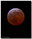 moon030307-051_copy.jpg