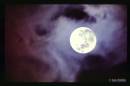 moon11_copy.jpg