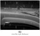 rain02.jpg