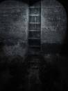 rungs.jpg