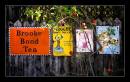 signs1.jpg