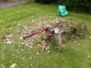 tree_stump_2.jpg