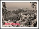 winter1.jpg