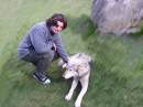 wolf.jpg