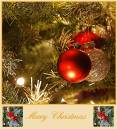 wpf_xmas-2009.jpg