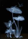 20090214_02999_fairies_08.jpg