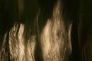 20091012_10152_dulverton_04.jpg